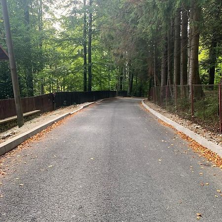 Wood Studio Sinaia Zewnętrze zdjęcie